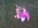 20140820_190623.jpg