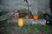 halloween-02.jpg
